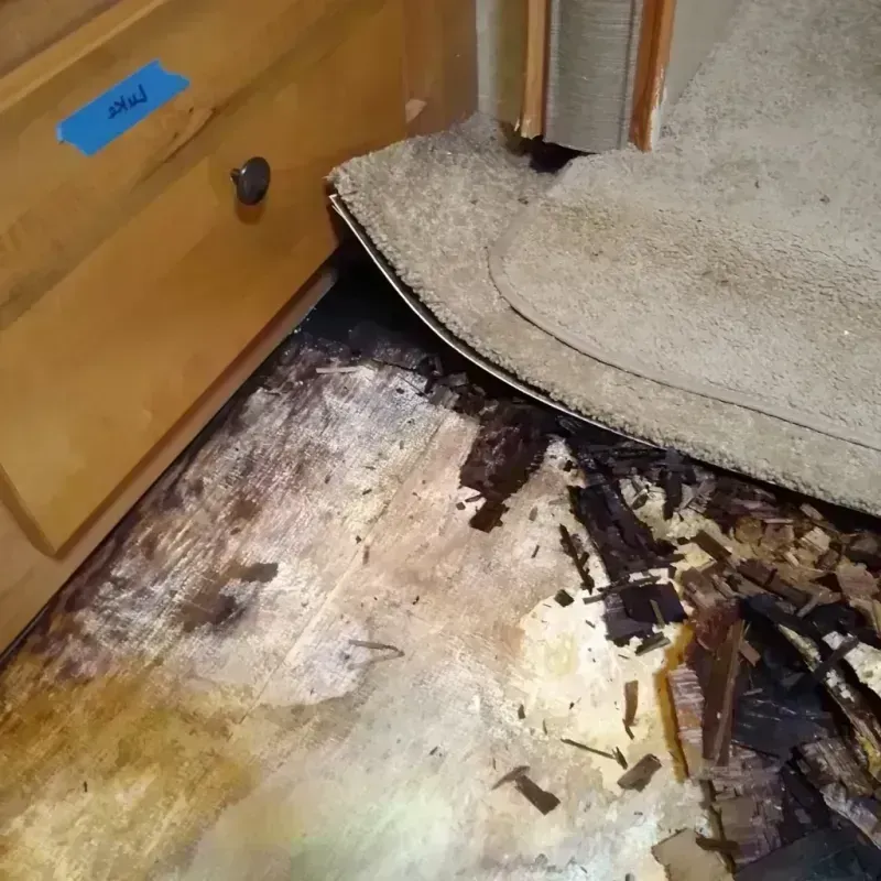 Wood Floor Water Damage in Jackson, TN